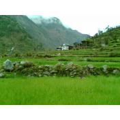 Tirthan Valley.jpg